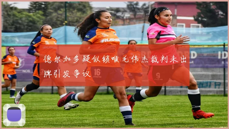 德尔加多疑似锁喉毛伟杰裁判未出牌引发争议